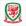 Уэльс U-19 Лого