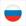 Россия Лого
