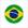  Бразилия Лого