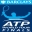 Теннис. ATP. Роттердам