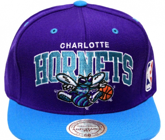 Клуб НБА 'Шарлотт' будет называться 'Хорнетс'