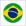 Бразилия Лого