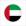 ОАЭ (пляжный футбол) Лого