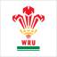 Уэльс (регби-7) Лого