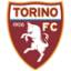 Торино Лого