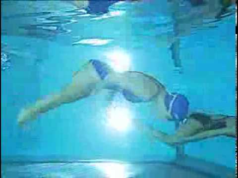 Видео урок: техника плавания баттерфляем