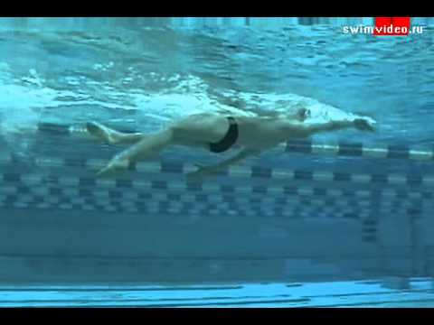Видео урок: плавание кролем на спине