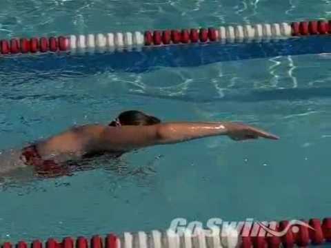 Видео урок: техника плавания кролем