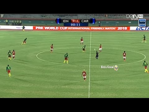 Индонезия - Камерун. Обзор матча